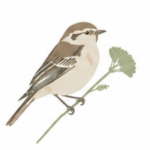 Sparrow perched on a wildflower